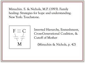 minuchin cross-gen slide