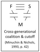 minuchin cross-gen diagram